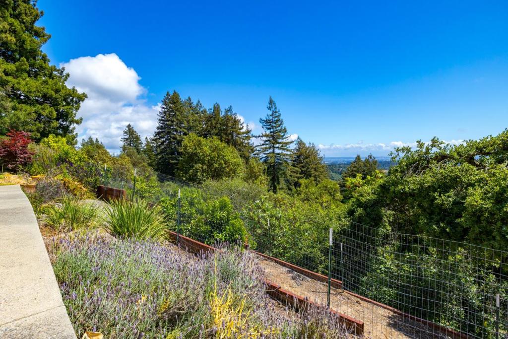 1081 Avocado Road Property Photo 62
