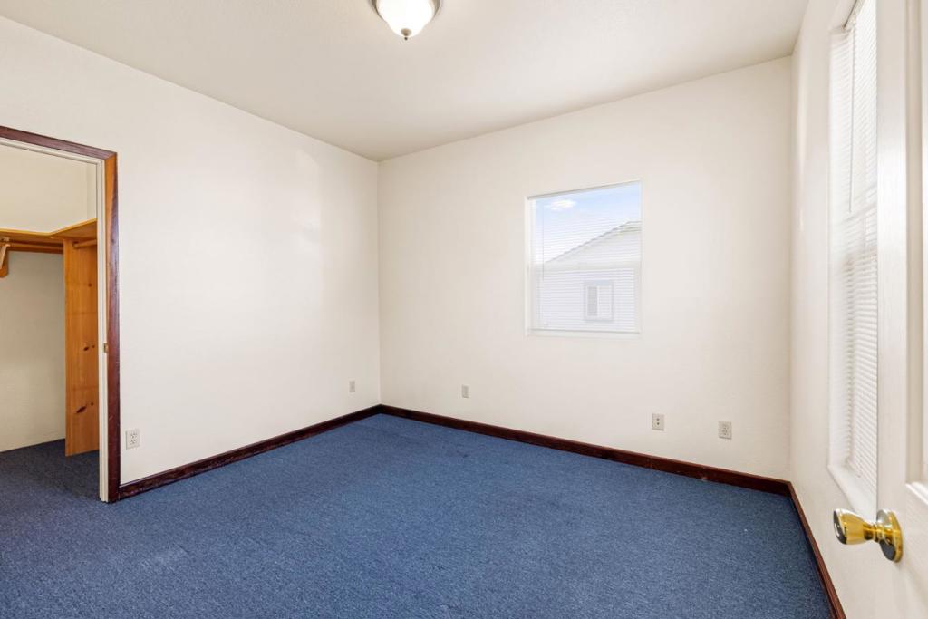 Lang Street Property Photo 70