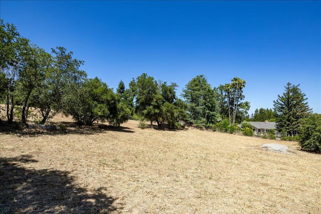 14171 Chester Avenue Property Photo 54