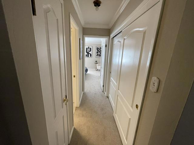 2201 Village Court 3 Property Photo 7