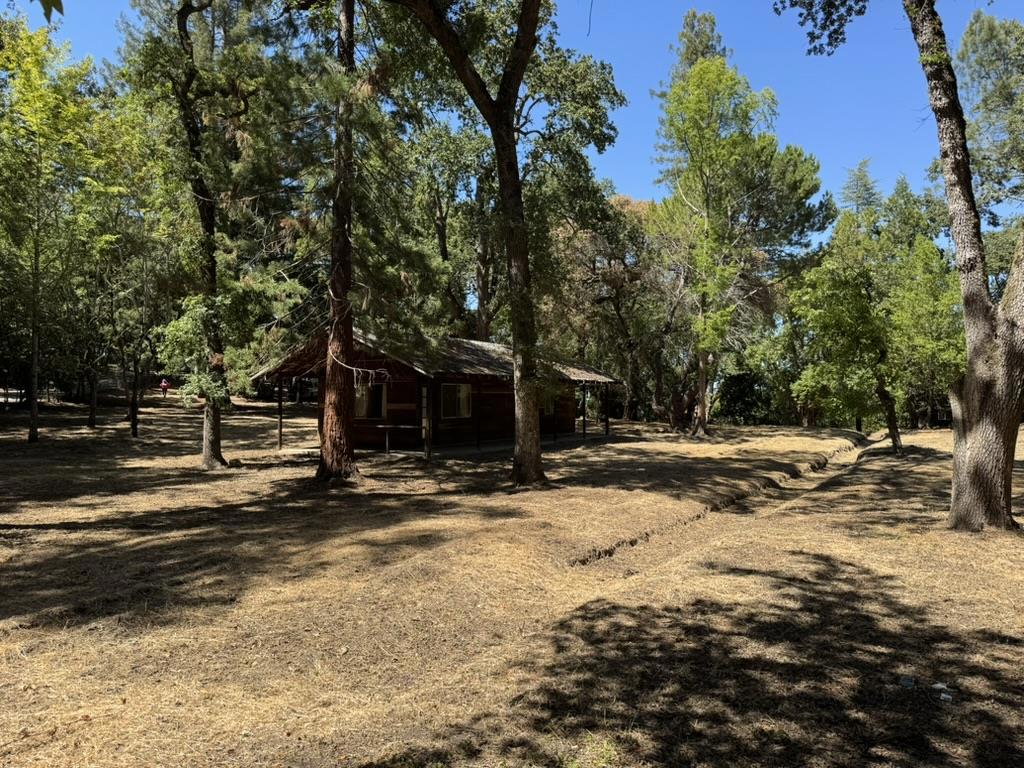245 Bonita Road Property Photo 5