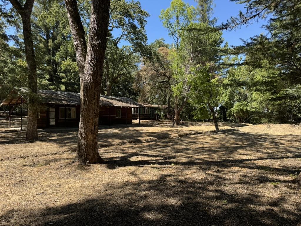 245 Bonita Road Property Photo 6