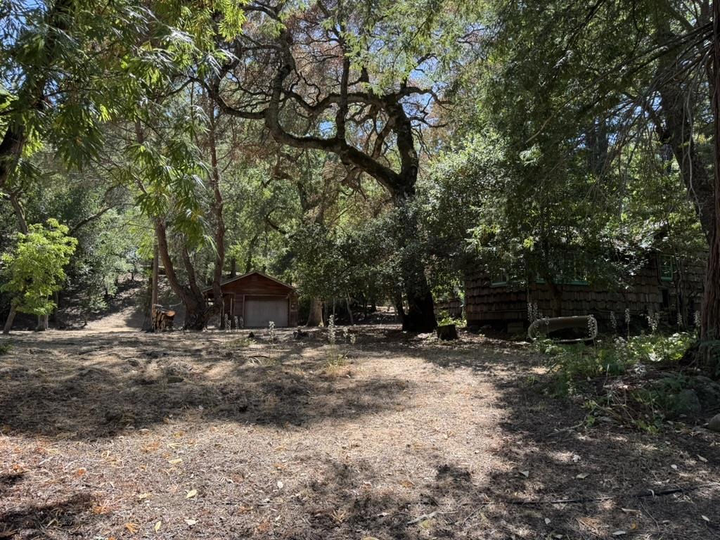 245 Bonita Road Property Photo 9