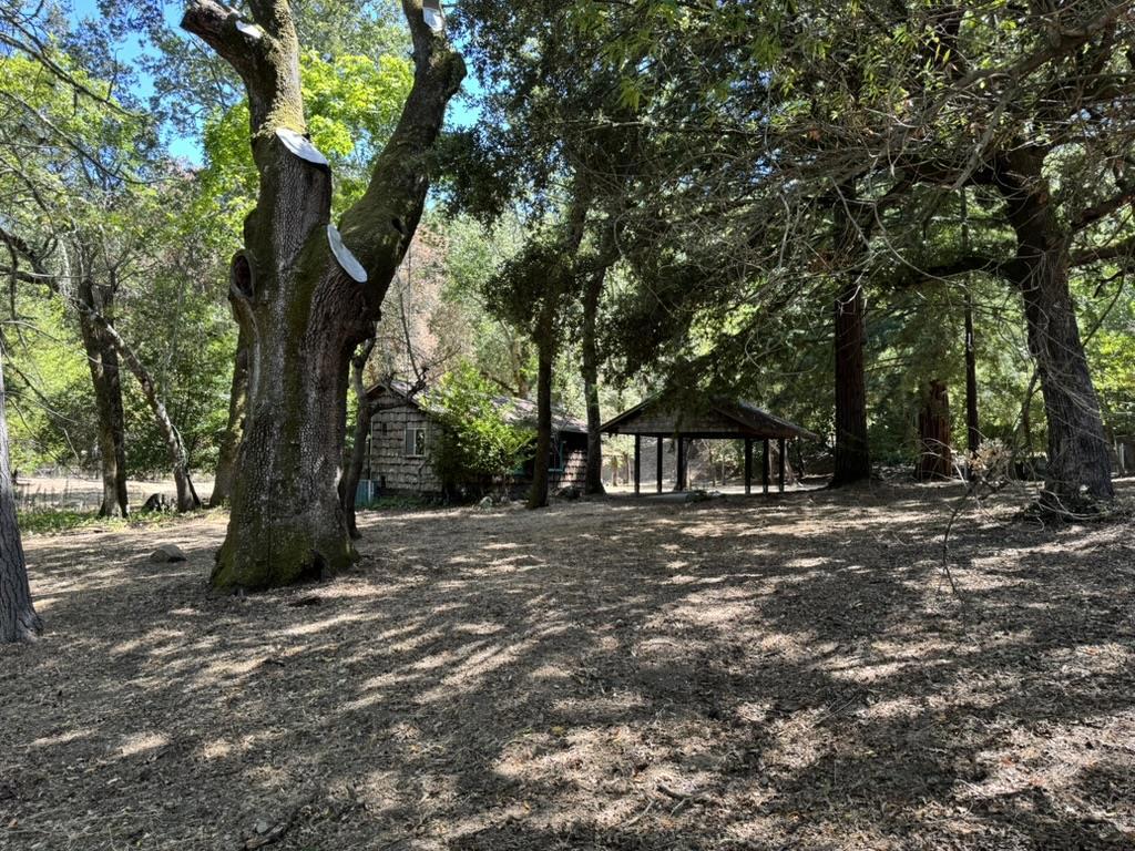 245 Bonita Road Property Photo 11