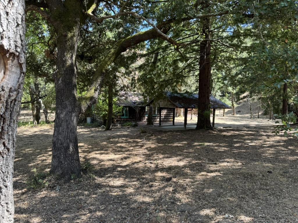 245 Bonita Road Property Photo 12