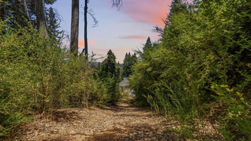 16595 Jamison Creek Road Property Photo 32