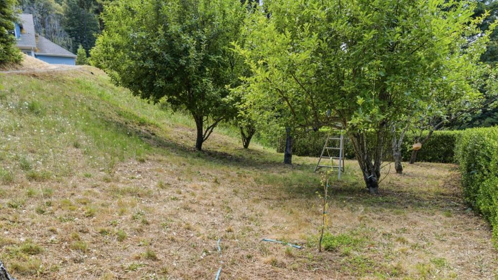 16595 Jamison Creek Road Property Photo 36