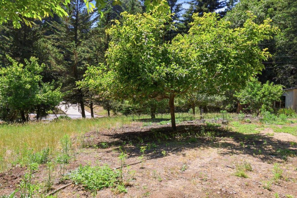 375 Blair Ranch Road Property Photo 35