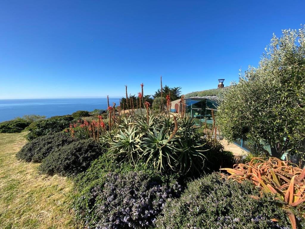 46400 Clear Ridge Road Property Photo 41