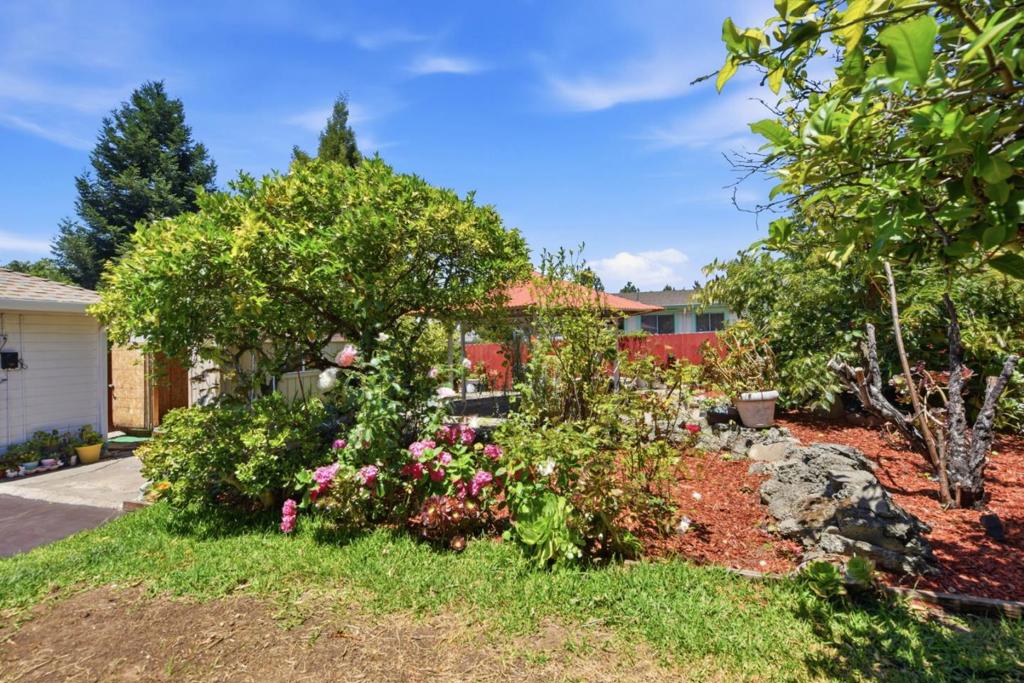 1654 D Street Property Photo 29