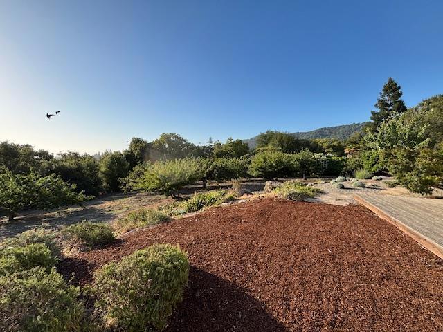 25900 Vinedo Property Photo 3