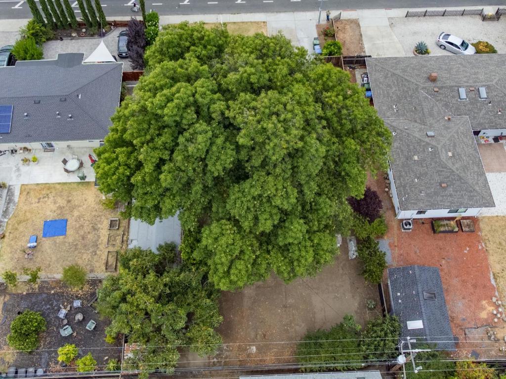 1436 Saratoga Avenue Property Photo 83