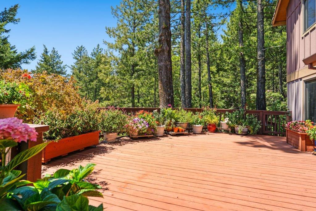 27255 Loma Prieta Way Property Photo 34
