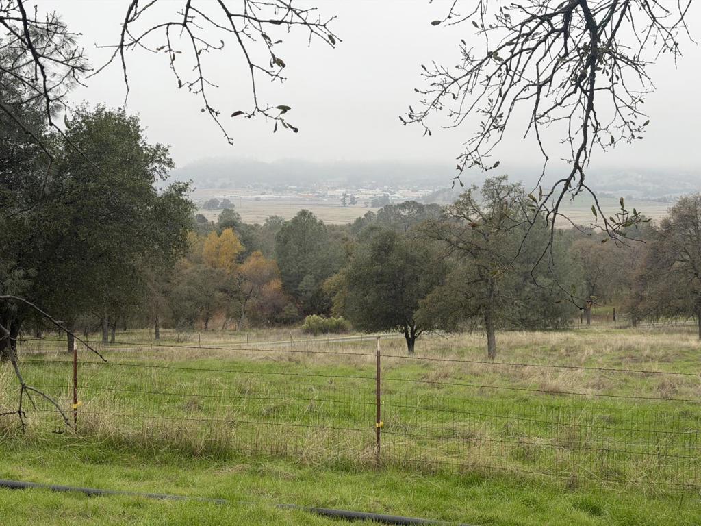 231 Bright Star Road Property Photo 24