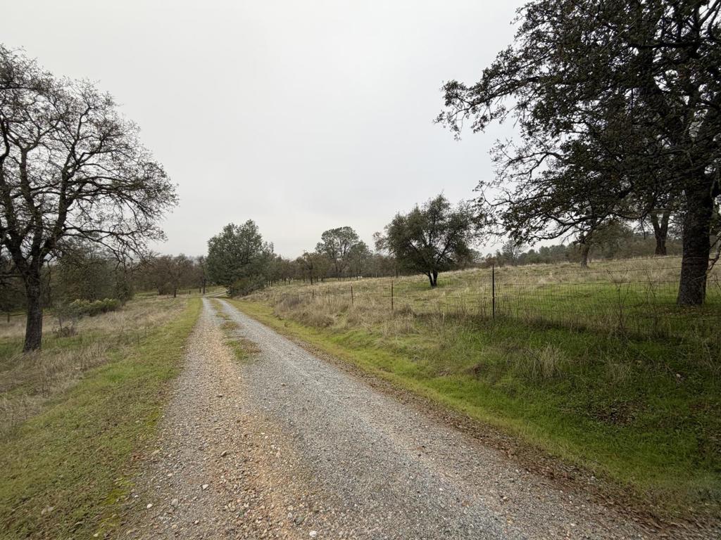 231 Bright Star Road Property Photo 25