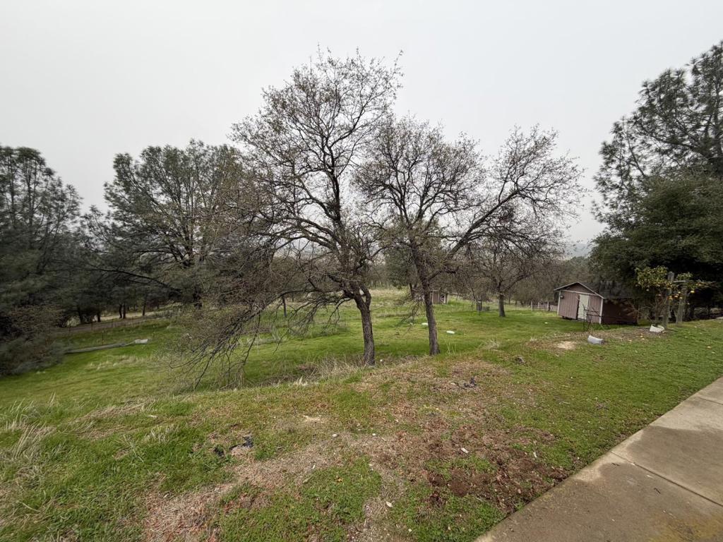 231 Bright Star Road Property Photo 28