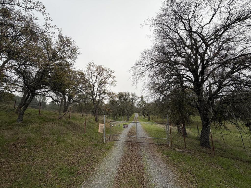 231 Bright Star Road Property Photo 33