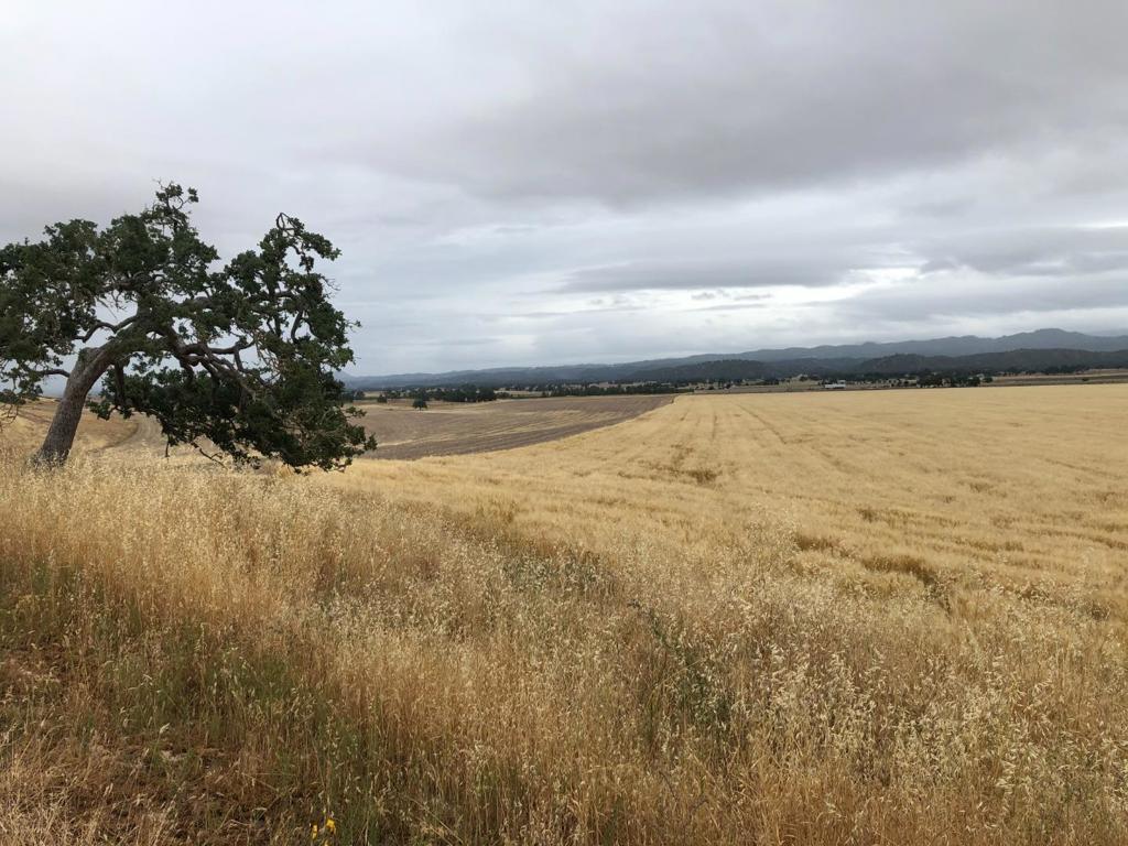 50325 Paulsen Road Property Photo 18