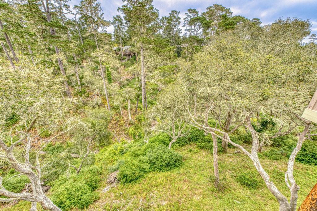24501 Via Mar Monte 61 Property Photo 3