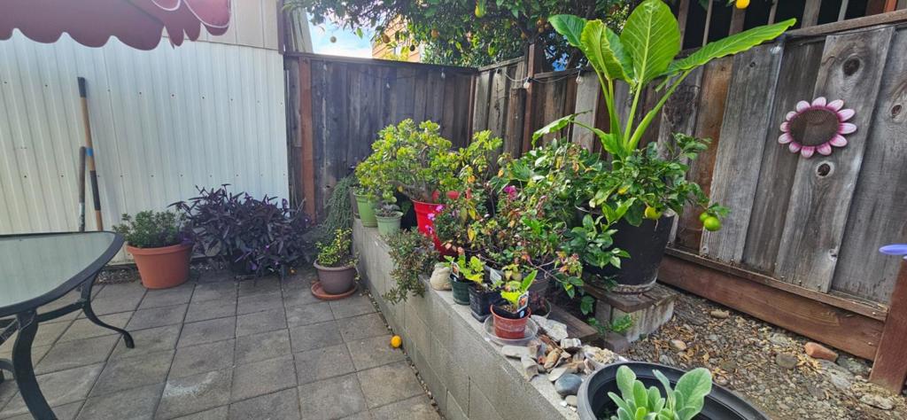 ML82053477 Property Photo 25