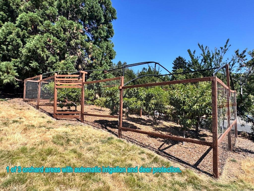 20378 Black Road Property Photo 40