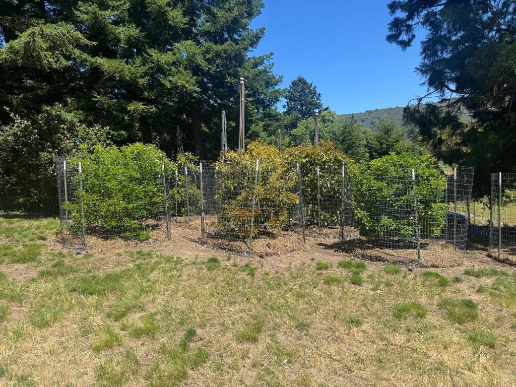 20378 Black Road Property Photo 43