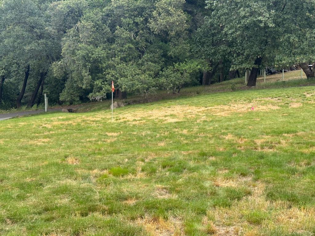20378 Black Road Property Photo 45