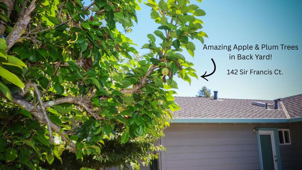 142 Sir Francis Court Property Photo 33