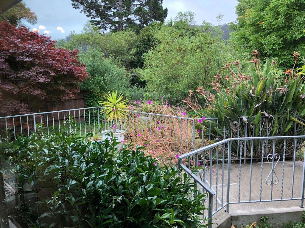 ML82053725 Property Photo 35