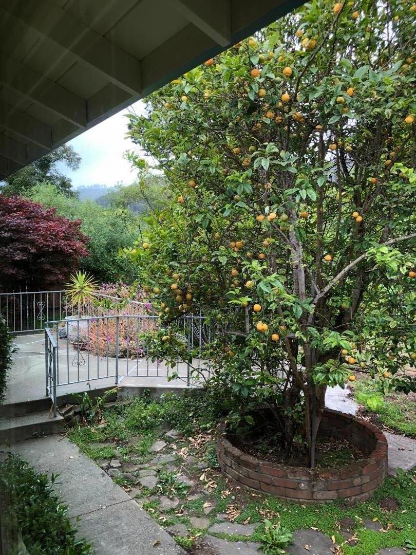 ML82053725 Property Photo 36