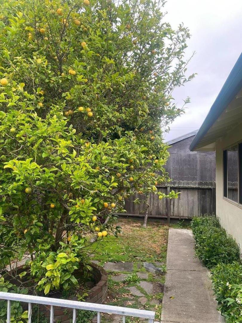 ML82053725 Property Photo 37
