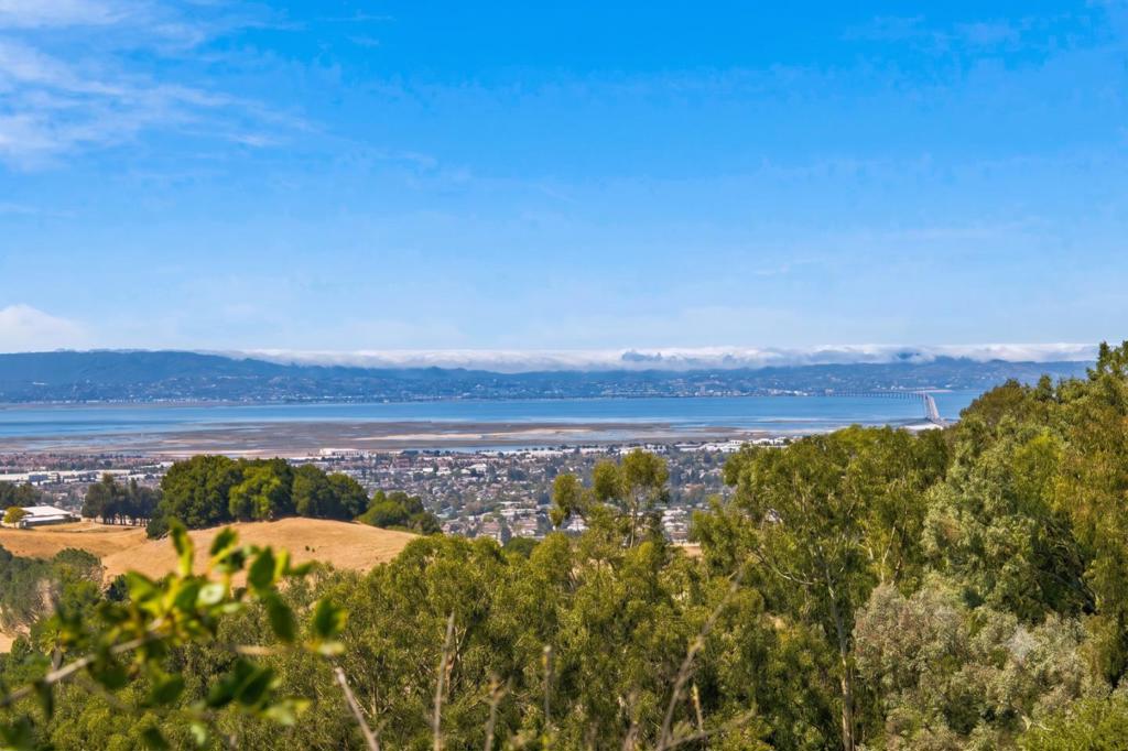 28009 Nob Hill Court Property Photo 1