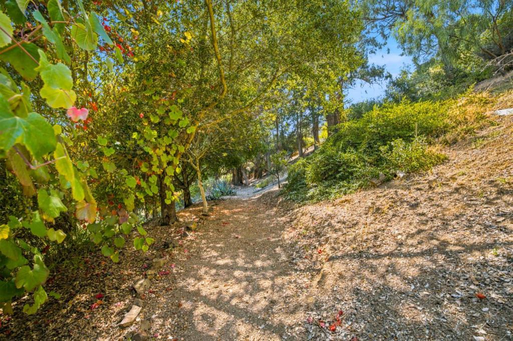 28009 Nob Hill Court Property Photo 51