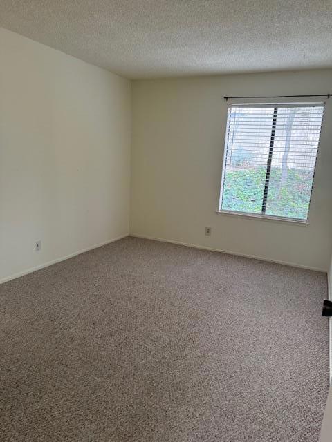 4205 Golden Oaks Lane Property Photo 13