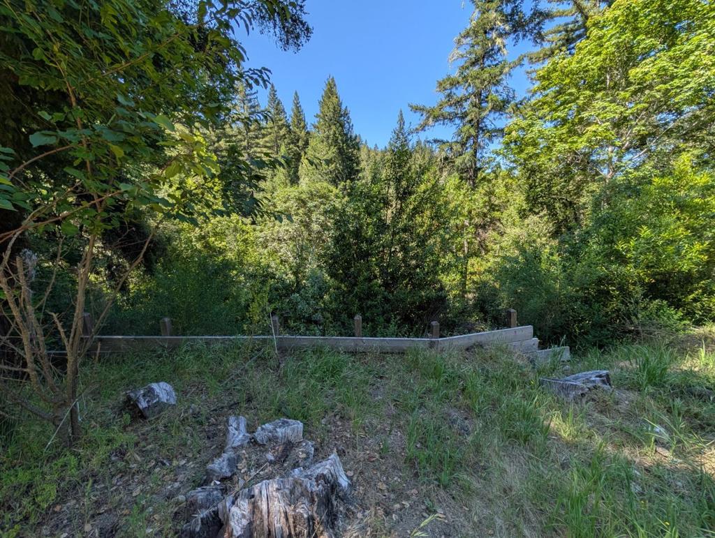 18770 Kelly (mustang Mesa) Property Photo 5