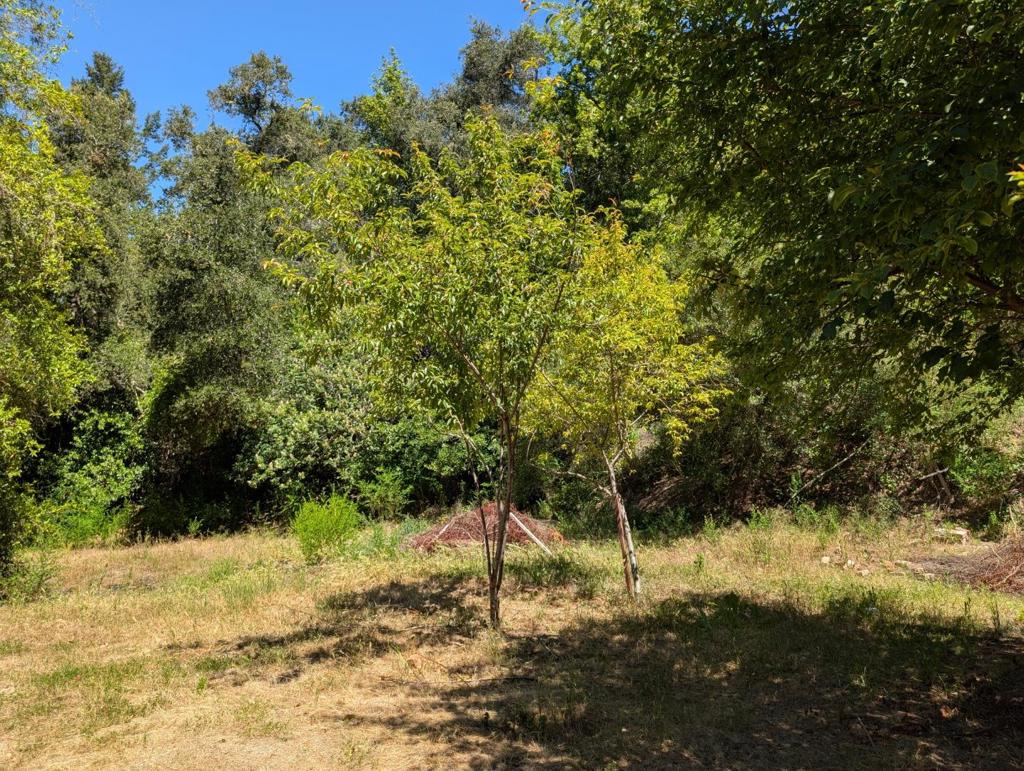 18770 Kelly (mustang Mesa) Property Photo 12