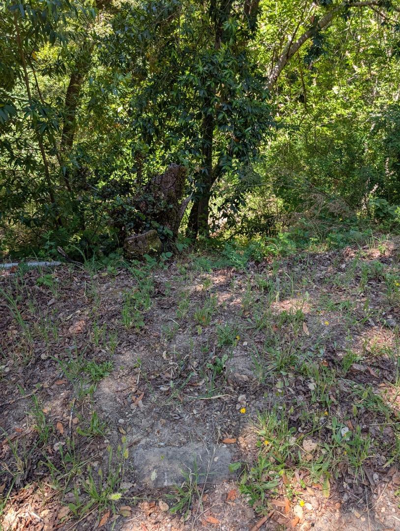 18770 Kelly (mustang Mesa) Property Photo 14