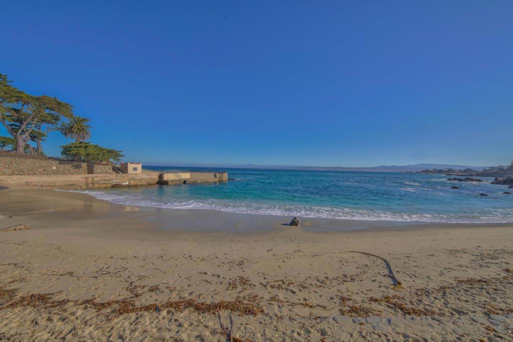 ML82053956 Property Photo 36