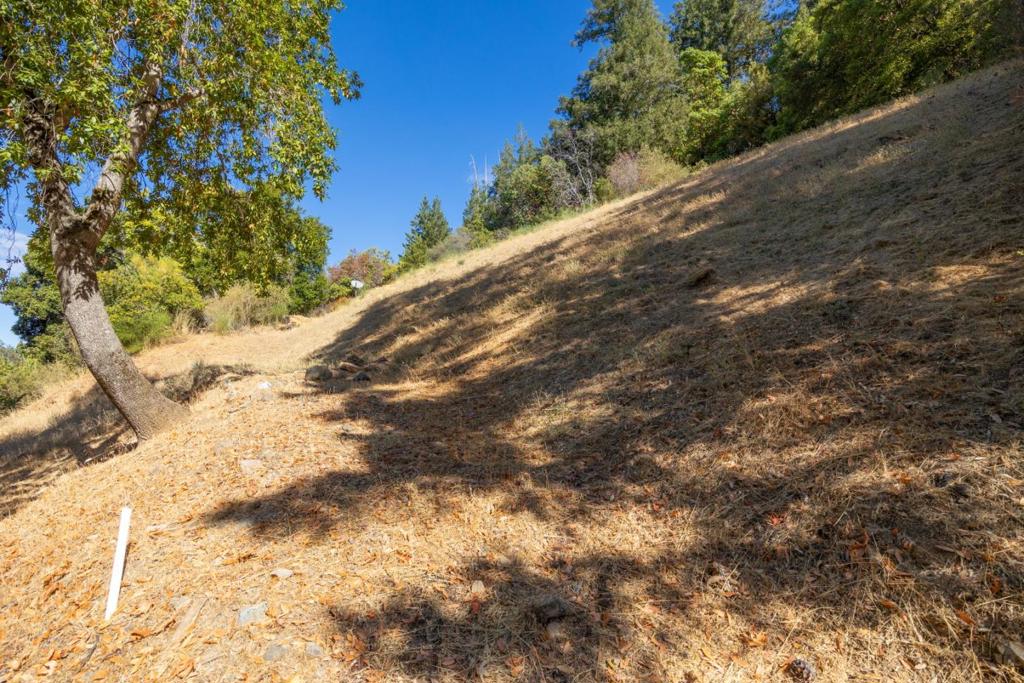 25970 Mar Vista Court Property Photo 38