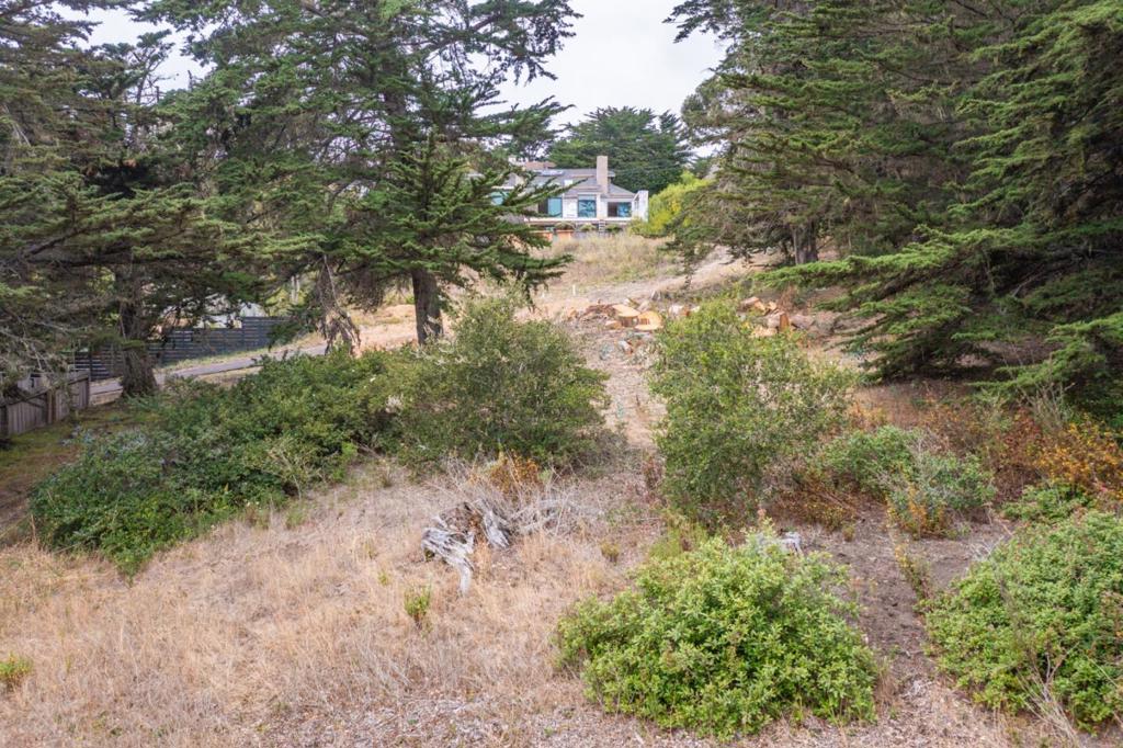 18 Yankee Point Drive Property Photo 18