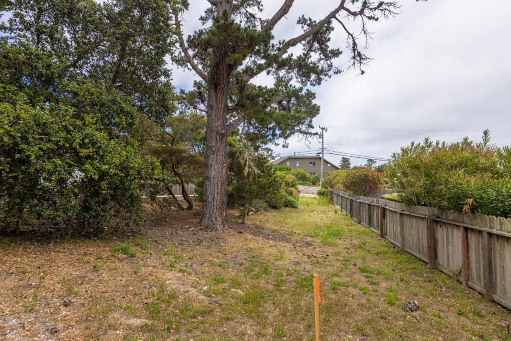 18 Yankee Point Drive Property Photo 20