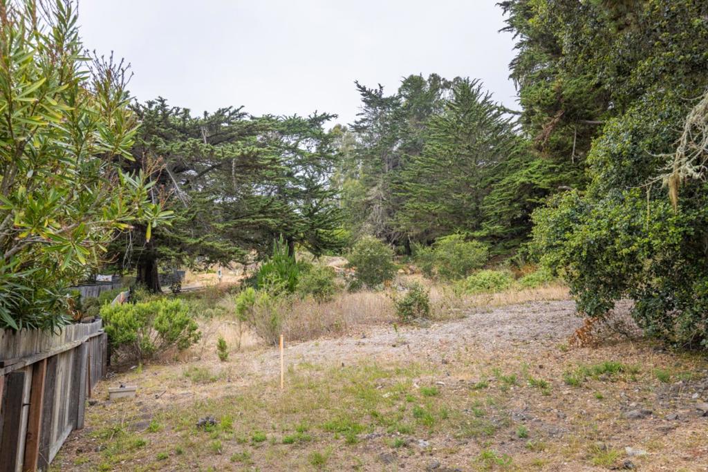 18 Yankee Point Drive Property Photo 23
