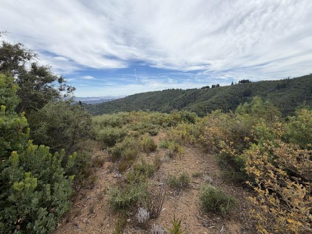 0 Mt Chul Property Photo 7