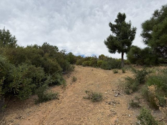 0 Mt Chul Property Photo 11