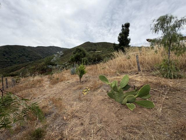 0 Mt Chul Property Photo 17