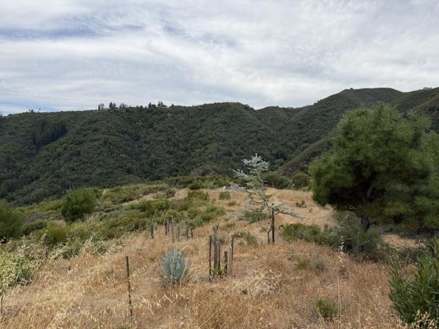 0 Mt Chul Property Photo 20
