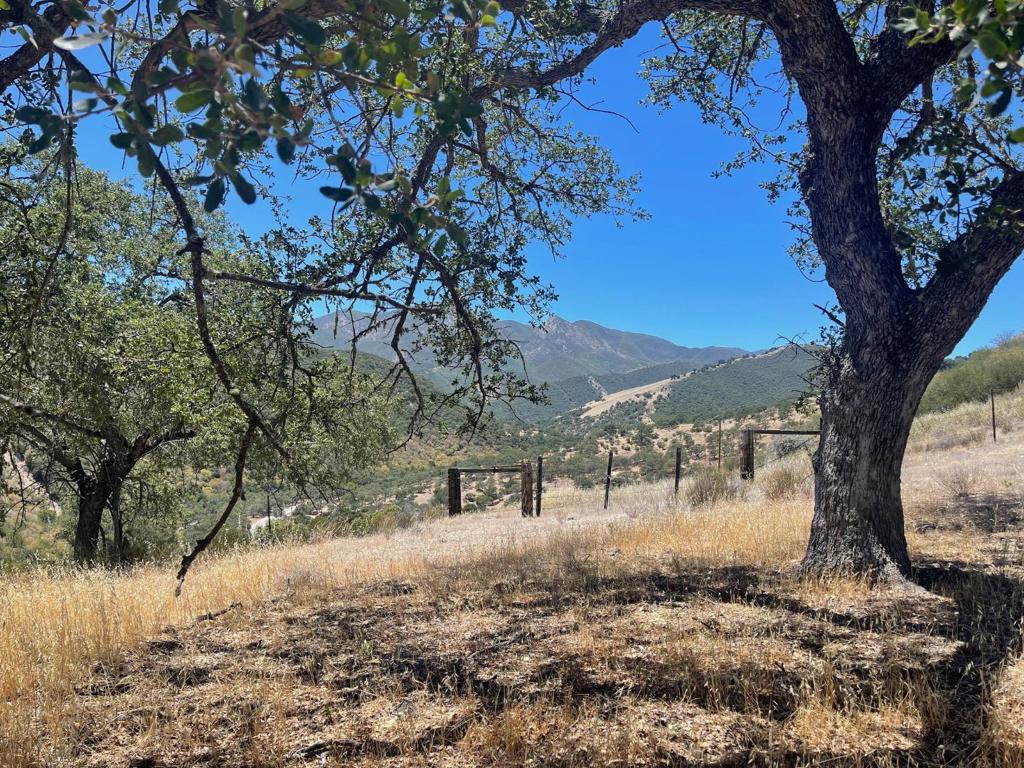 0 E Carmel Valley Road Property Photo 3