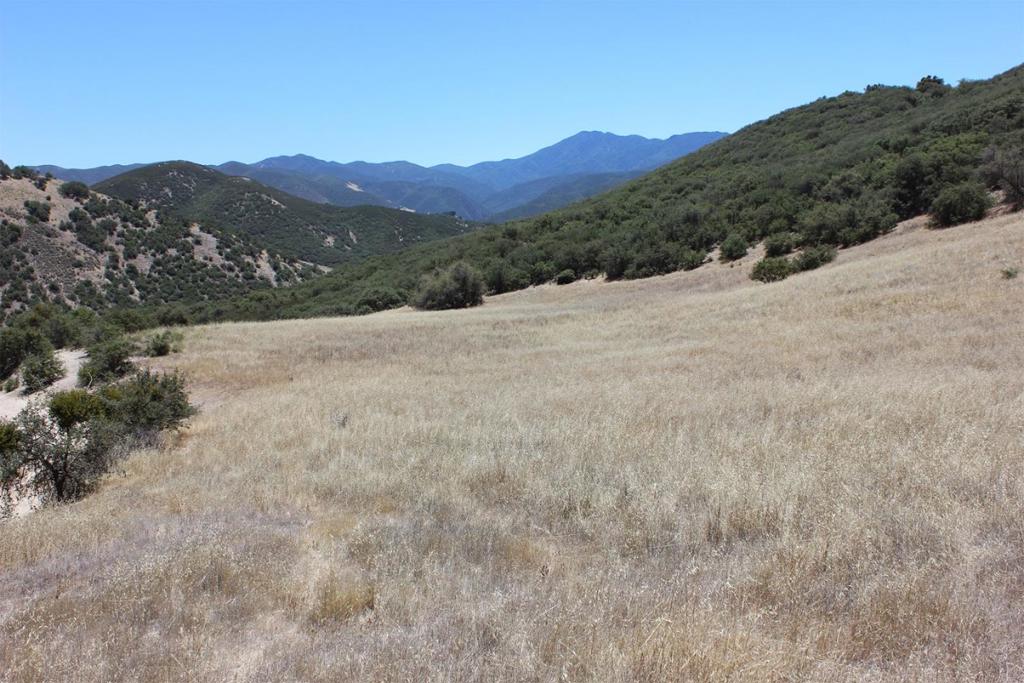 0 E Carmel Valley Road Property Photo 4
