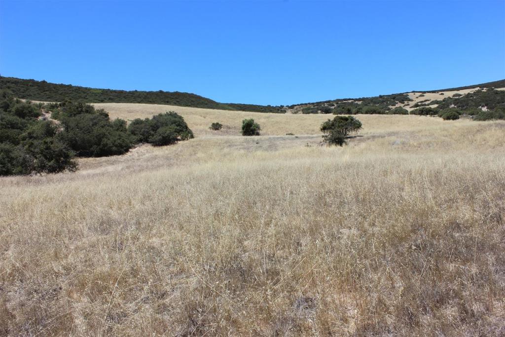 0 E Carmel Valley Road Property Photo 5