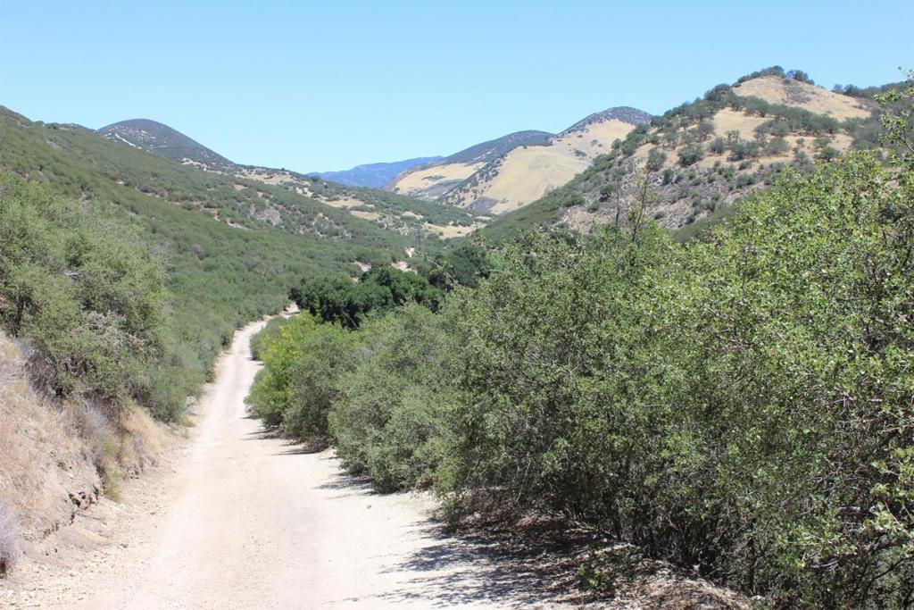 0 E Carmel Valley Road Property Photo 8